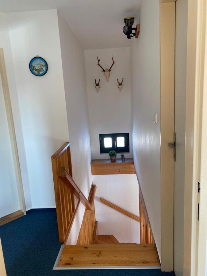 Vila 66 - Cista V Krkonosich Черный Дул Экстерьер фото